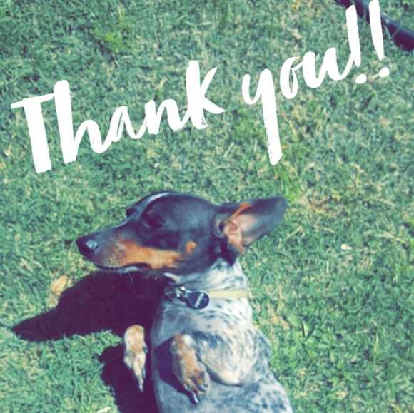 Meet your Posher, Mae - Picture 2 of 8